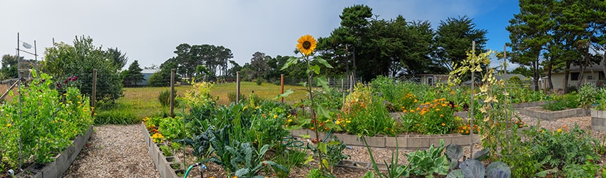 Good Earth Community Garden, Bandon OR