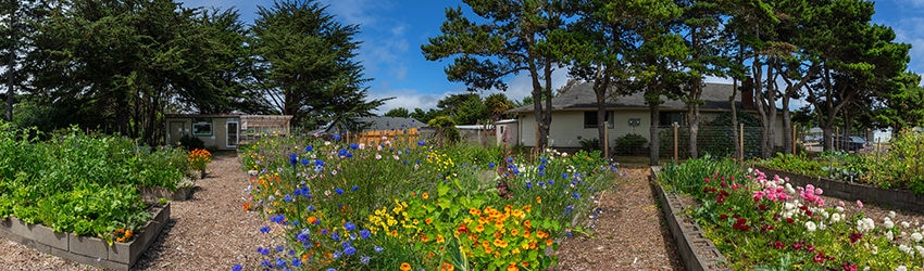 Good Earth Community Garden, Bandon OR
