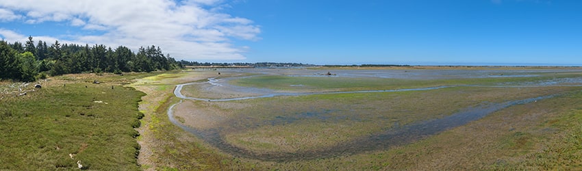 Bandon Marsh National Wildlife Refuge, Bandon OR