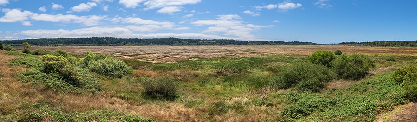 Bandon Marsh National Wildlife Refuge, Bandon OR