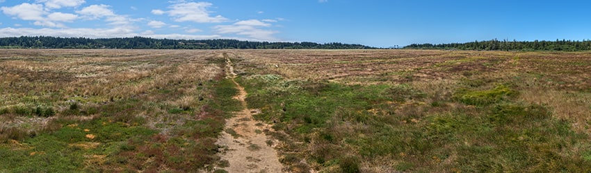 Bandon Marsh National Wildlife Refuge, Bandon OR