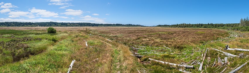Bandon Marsh National Wildlife Refuge, Bandon OR