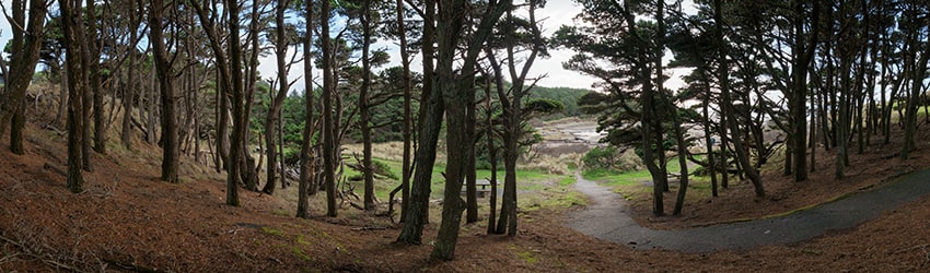 Devils Kitchen State Park, Bandon OR