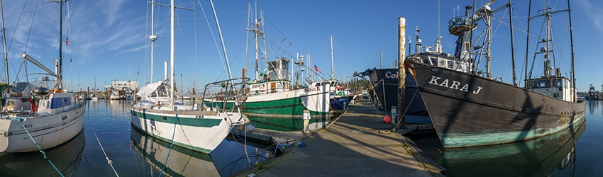 Charleston Marina Complex, Charleston OR