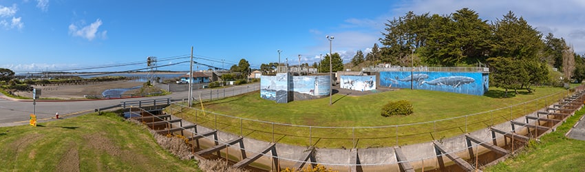 Ferry Creek at Riverside Dr NE, Bandon OR