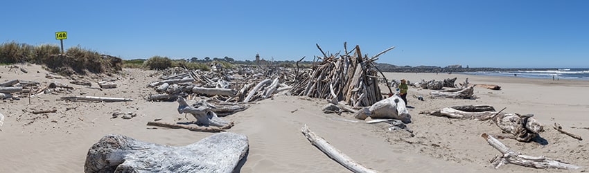 Bullards Beach State Park, Bandon OR