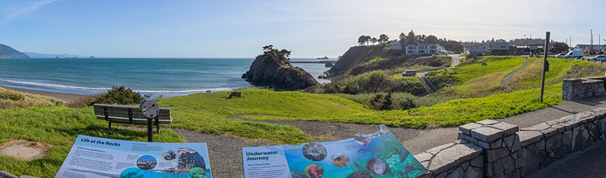 Battle Rock Viewpoint, Port Orford OR
