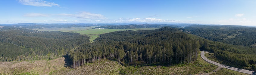 Above Beaver Hill, S of Coos Bay OR