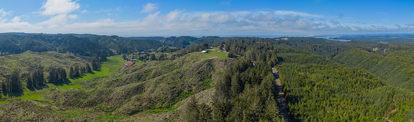 Above Seven Devils Rd, S of Charleston OR