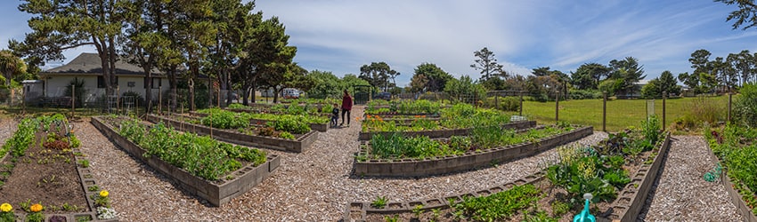 Good Earth Community Garden, Bandon OR