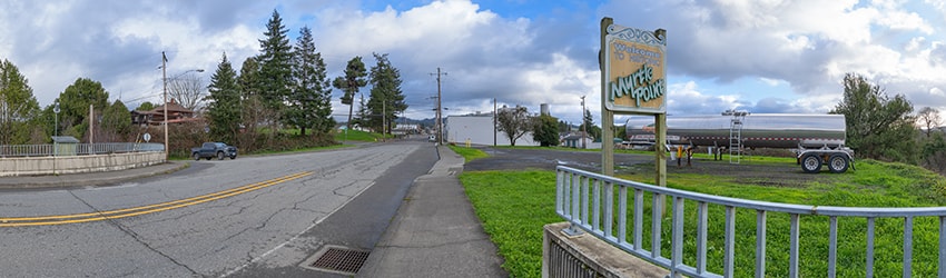 Lampa Lane Bridge, Myrtle Point OR