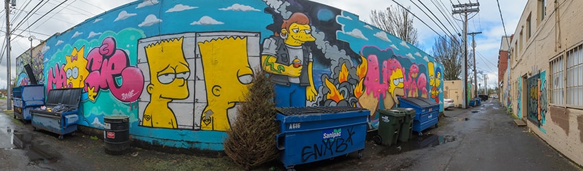 Alley Murals, Springfield OR