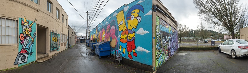 Alley Murals, Springfield OR