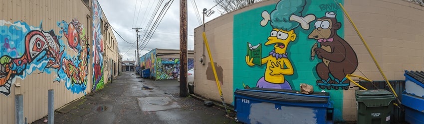 Alley Murals, Springfield OR