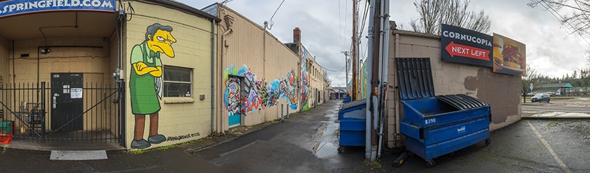Alley Murals, Springfield OR