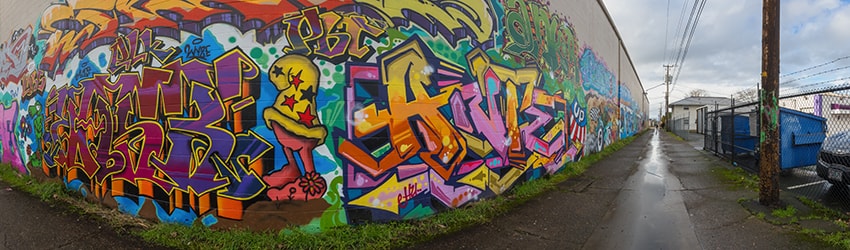 Murals, 6th Alley, Eugene OR