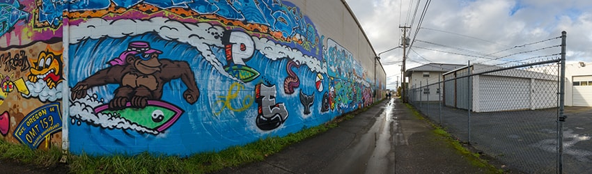 Murals, 6th Alley, Eugene OR