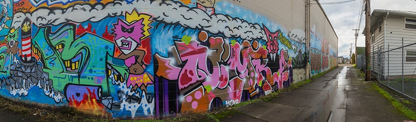 Murals, 6th Alley, Eugene OR