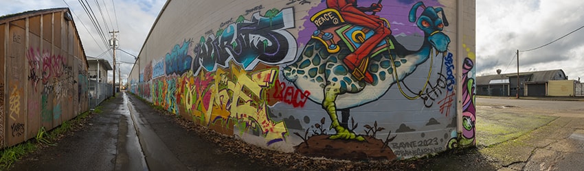 Murals, 6th Alley, Eugene OR