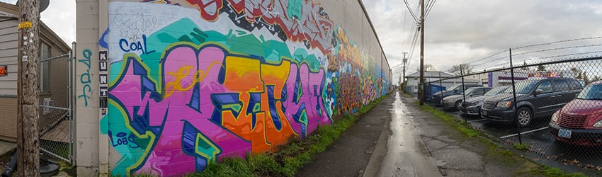 Murals, 6th Alley, Eugene OR