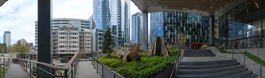 8th Ave & Bell St, Seattle WA