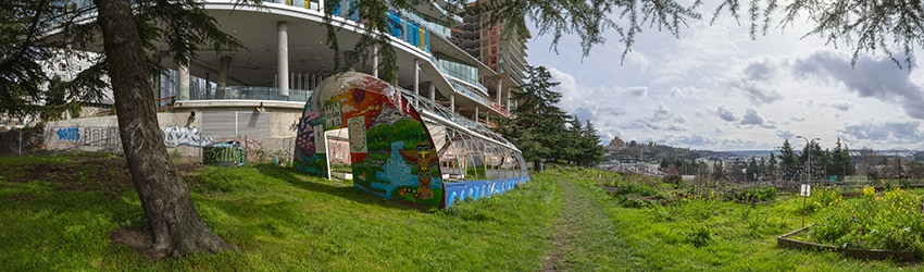 Yesler Terrace Park P-Patch, Seattle WA