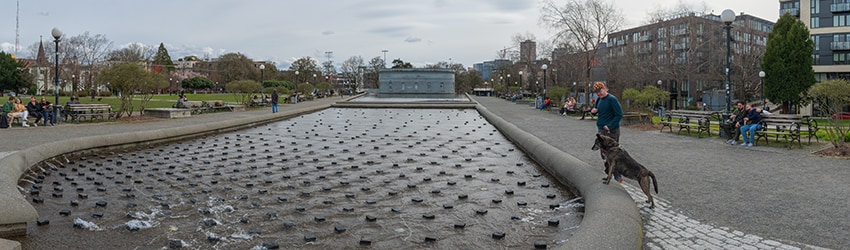 Cal Anderson Park, Capitol Hill, Seattle WA