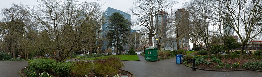 Denny Park, South Lake Union, Seattle WA