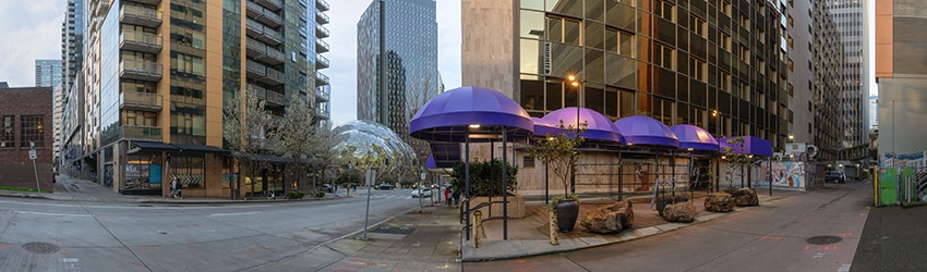 6th Ave & Lenora St, Denny Triangle, Seattle WA