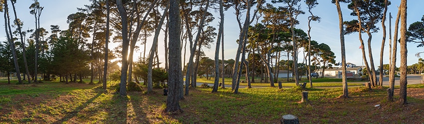 City Park, Bandon OR