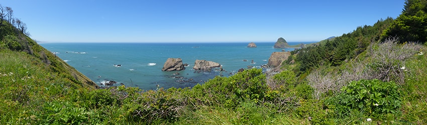 Viewpoint, Hwy 101, N of Gold Beach OR