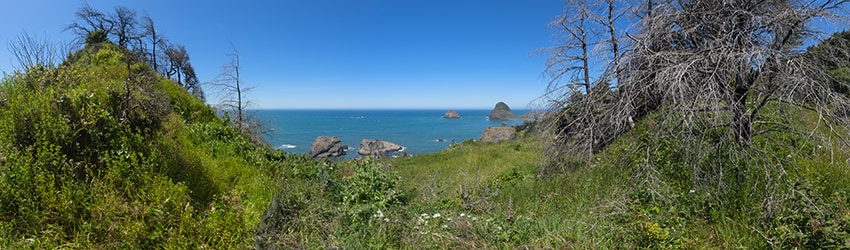 Viewpoint, Hwy 101, N of Gold Beach OR