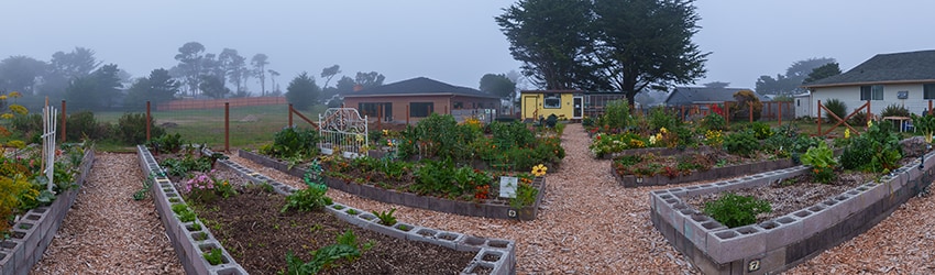Good Earth Community Garden, Bandon OR