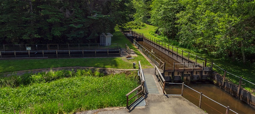 Bandon Fish Hatchery, Bandon OR