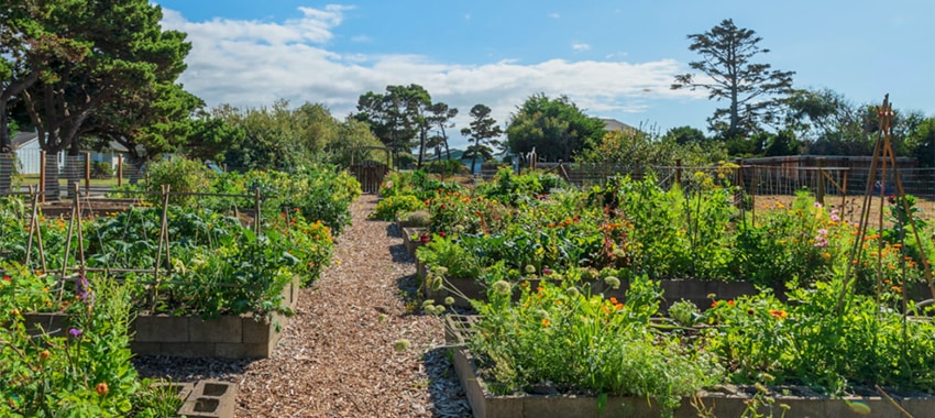 Good Earth Community Garden, Bandon OR