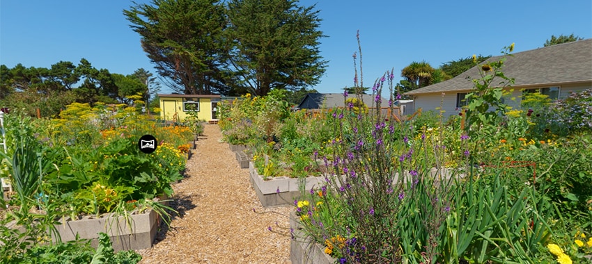Good Earth Community Garden - August 2025