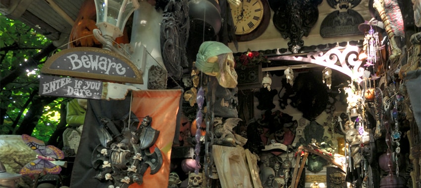 Virtual Tour of Steve's Weird House