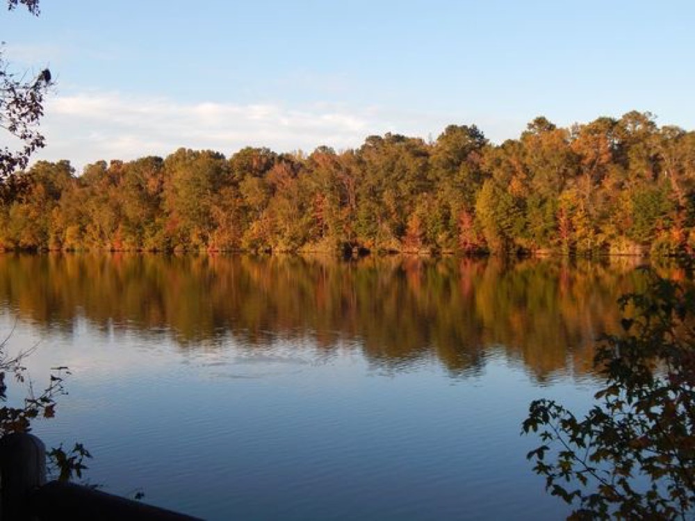 Singles in silas alabama