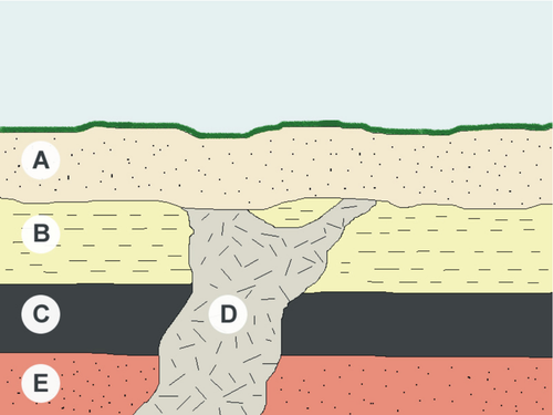 Relative Ages of Rocks | Earth Science