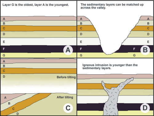 principle of original horizontality middle school