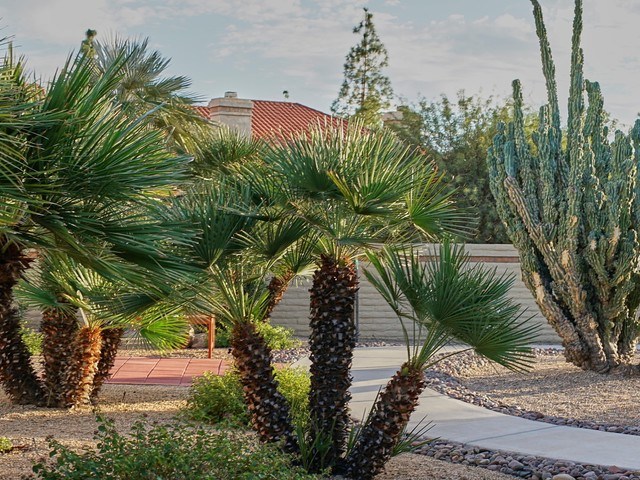 Gallery Image for BLUE LAKES ASSISTED LIVING LLC in SCOTTSDALE, AZ