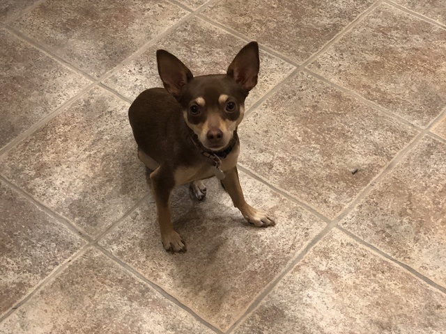 Gallery Image for Paseo Highlands Assisted Living in PHOENIX, AZ