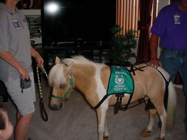 CHERRY'S ASSISTED LIVING