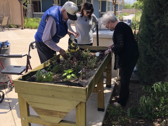 Gallery Image for MAGNOLIA CROSSING in CLOVIS, CA