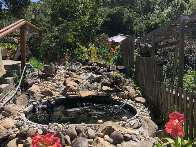 GOLDEN LIVING GUEST HOME