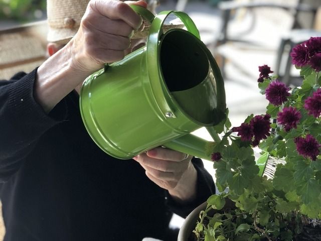 GOLDEN LIVING GUEST HOME