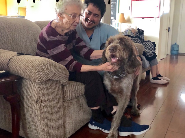 Gallery Image for ST. SIMON HOME II in YORBA LINDA, CA