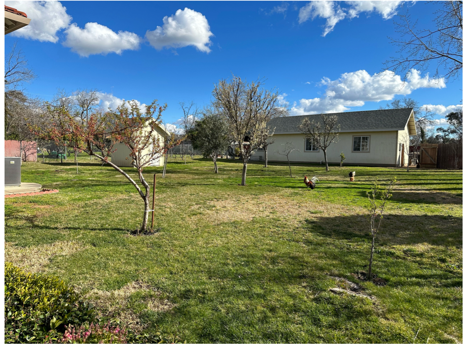 Gallery Image for JOANN'S HOME CARE in ROSEVILLE, CA