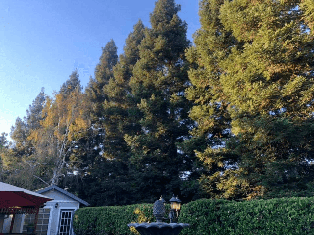 BELLE VIE RESIDENTIAL ASSISTED LIVING