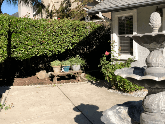 BELLE VIE RESIDENTIAL ASSISTED LIVING